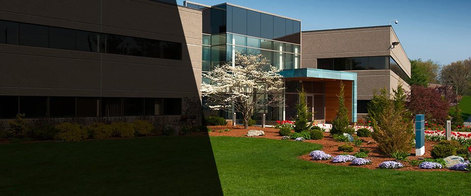 Paxton Landscapers