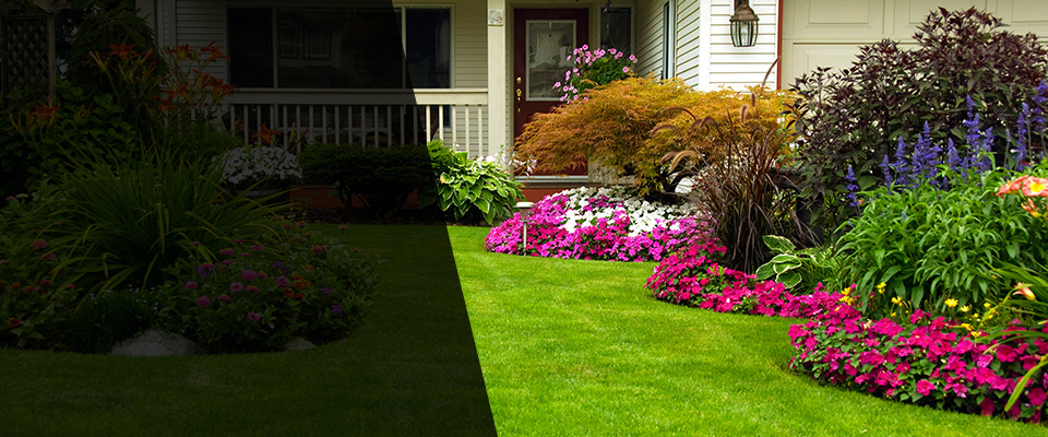 Paxton Landscapers